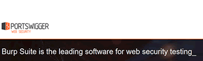 Portswigger Burp Suite - testarea securitatii web